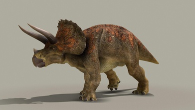 triceratops horridus - buy royalty-free modello 3d kyan0s 4cdcba9 fatto di blender, gimp 3d print model - Mito3D
