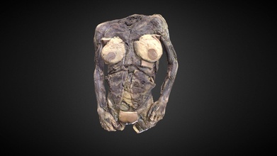 tronco mulher completo Comprar realeza livre 3d modelo anatomia humana gonzalo Tiznado músculos glândula pélvis cadáver abdômen cordão 3d print model - Mito3D