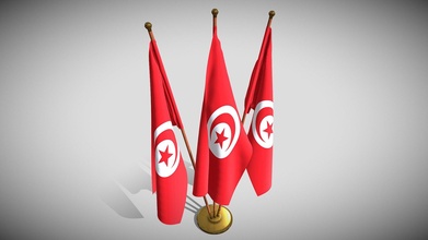 tunisia flag pack - buy royalty free 3d model dragosburian 80b85a7 3d print model - Mito3D