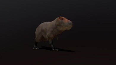 tiranossauro rex caminhar ciclo 3d modelo iofry ff4495c 3d print model - Mito3D