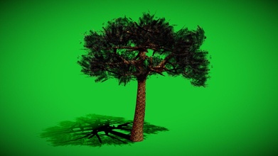 umbrella pine - download free 3d model rhcreations 0de584c 3d print model - Mito3D