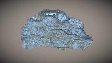 utahraptor bloquer Nord 1 6 2021 3d modèle inf paléontologie dondeblieux 3f780b4 3d print model - Mito3D