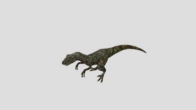 velociraptor 1+motions - download free 3d model kapi777 9d72445 3d print model - Mito3D