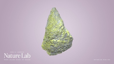 volcanic rock - download free 3d model risd nature lab risdnaturelab 1f51fdb 3d print model - Mito3D