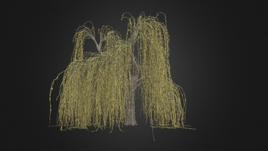 weeping willow fall tree - buy royalty free 3d model datec studio e4ab2a6 3d print model - Mito3D