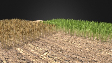 wheat field - 3d model buncic 8ad64ef 3d print model - Mito3D