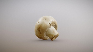 white button mushroom - buy royalty free 3d model inciprocal 985aa28 great addition virtual dining table scanned using physically based process developed inc enables highly photo-realistic reproduction real-world products environments zip file includes low-poly obj mesh meters set 1k pbr textures compressed lossless jpeg no chroma sub-sampling 3d print model - Mito3D