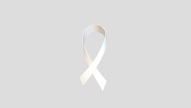 white ribbon - buy royalty free 3d model bariacg 3823e59 3ds max 2021 fbx obj files clean topology non-overlap uvs textures include base color normal roughness 2048x2048 png texture 408 poly 410 vert subdivision level 0 3d print model - Mito3D