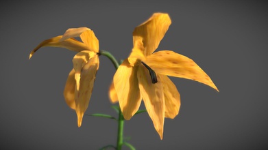 wilted flowers - download free 3d model benitas 48dea80 low poly prop modelling practice random prompt pbr textures game ready 3d print model - Mito3D