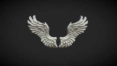 wings relief - buy royalty free 3d model skazok bird eagle angel feather fly air 3d print model - Mito3D