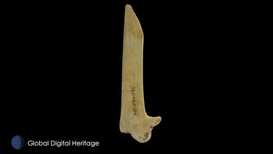 xfp-056 albatross bone tool sanak island ak - download free 3d model global digital heritage globaldigitalheritage 3cd9aa4 bird alaska cat xfp-056-113-1 group large house depressions south shore pauloff harbor multiple radiocarbon dates place 300 ce 800 although upper most levels may date 13th century these artifacts were scanned either faro edge arm minolta vivid 9i processed geomagic polyworks 4-8 photos used texture zbrush presented result research conducted under grants nsf 0326584 0508101 1139266 1321411 h maschner principal investigator original digitizing work done ivl id st univ subsequent processing completed fieldwork analysis permission collaboration tribe corporation 3d print model - Mito3D