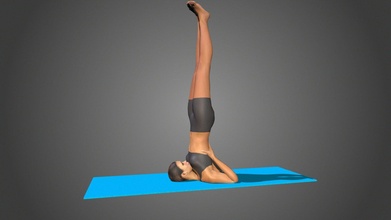 Yoga Pose Salamba Sarvangasana Kaufen Lizenzgebühren frei 3d Modell lily yoga posiert yoga3d 19fe19f 3d print model - Mito3D