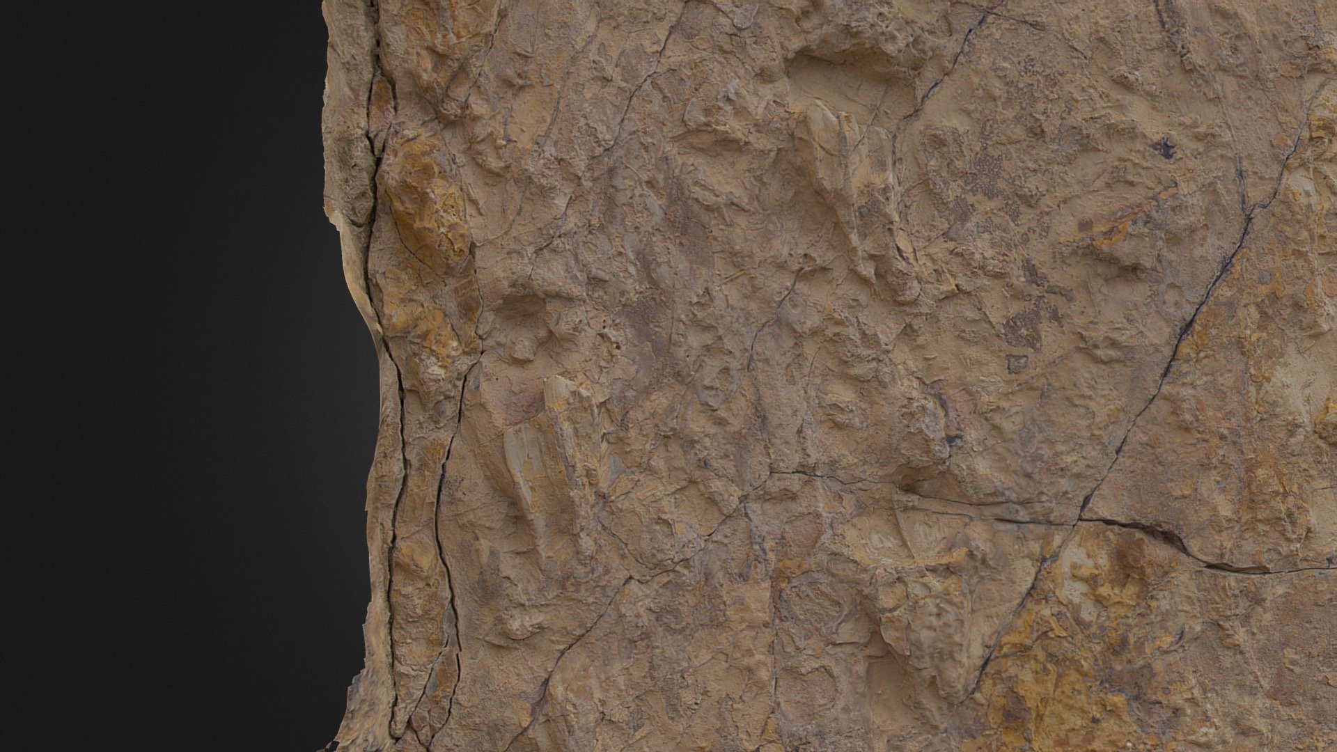 zoomed well-preserved cretaceous croc trackway - 3d model paleontology rocks 26afd82 3D print model - Mito3D