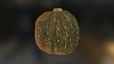 zucca - pumpkin 3d model carlo baione charles1786 173d78d scanned canon eos 6d tripod very low lights 3d print model - Mito3D