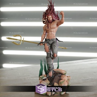 Aquaman kot 3d print model - Mito3D