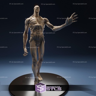 armin colossal Titan stl dossiers 3d print model - Mito3D