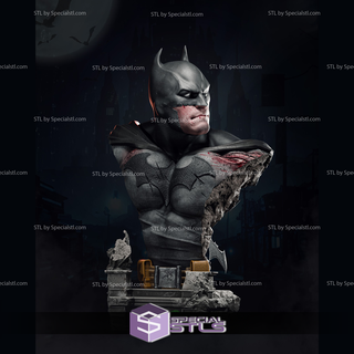 batman blood bust ready 3d print 3d print model - Mito3D