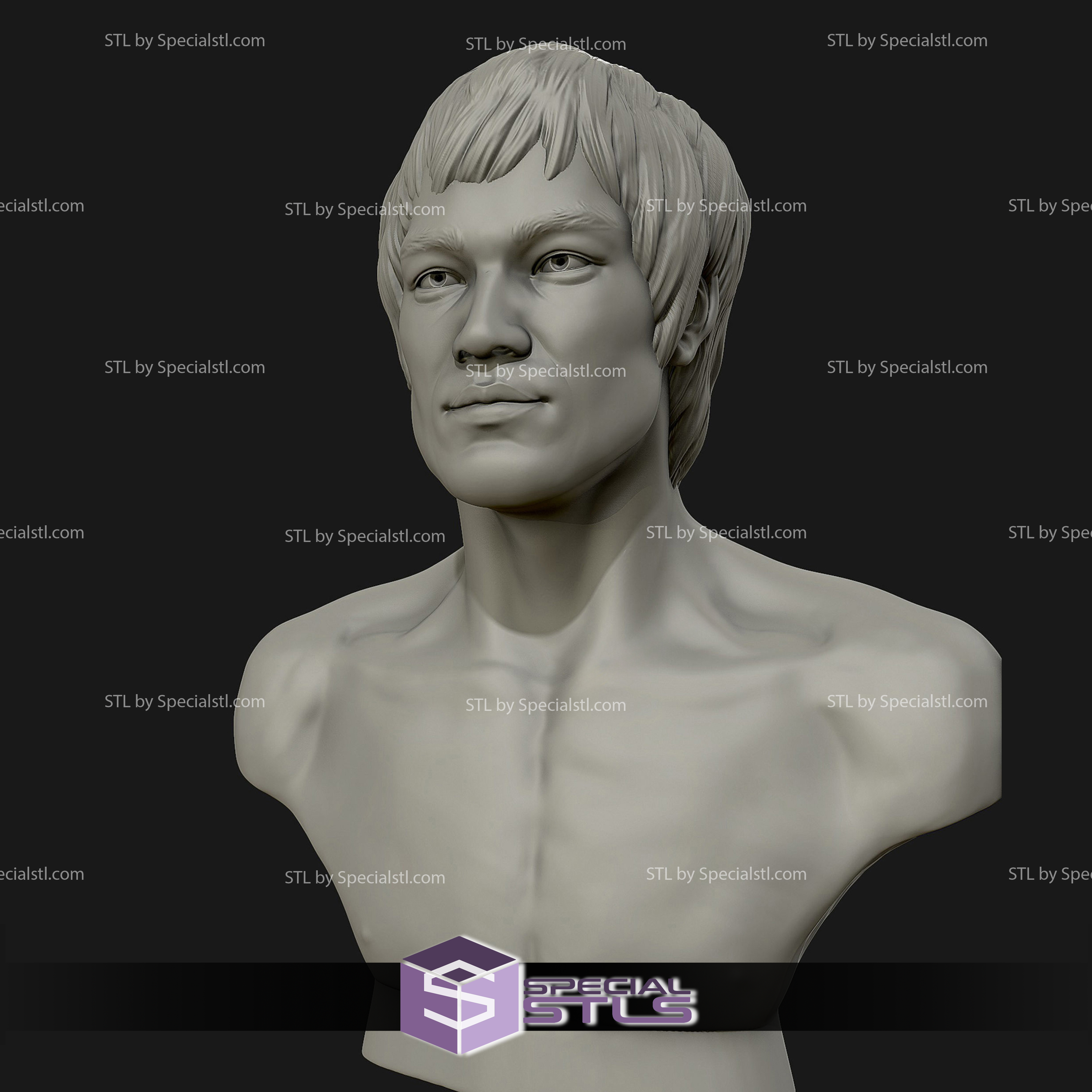 Bruce Lee buste prêt 3d impression 3D print model - Mito3D