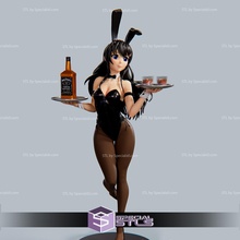 bunny girl waitress 3d print model - Mito3D