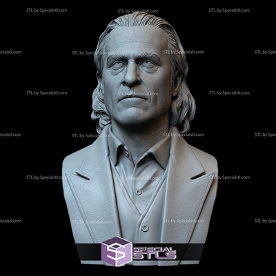 buste portrait stl collection joaquin phénix as joker specialstl 3d print model - Mito3D