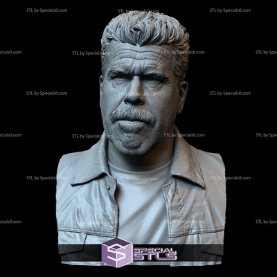 busto retrato stl colección ron perlman as arcilla día especialstl 3d print model - Mito3D