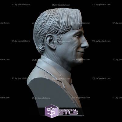 buste portrait stl collection saul homme bob odenkirk specialstl 3d print model - Mito3D