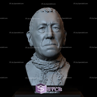 bust portrait stl collection - three eyed raven specialstl 3d print model - Mito3D