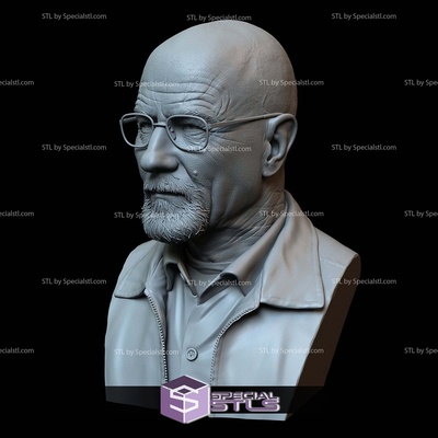bust portrait stl collection - walter white aka heisenberg specialstl 3d print model - Mito3D