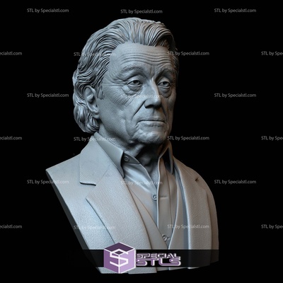 busto retrato stl colección winston juan mecha especialstl 3d print model - Mito3D