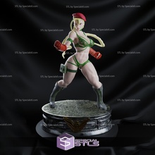 cammy bikini suit 3d print model - Mito3D