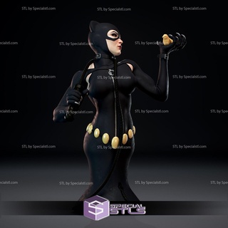 catwoman pollo busto Listo 3d impresión 3d print model - Mito3D