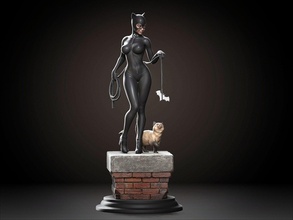 catwoman v4 dc 3d print model - Mito3D