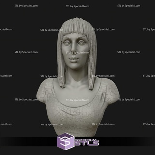 cher diosa popular busto Listo 3d impresión 3d print model - Mito3D