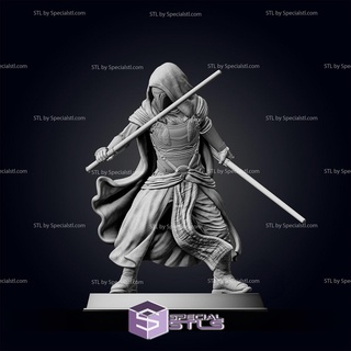 darth revan basic battle pose 1 ready 3d print 3d print model - Mito3D