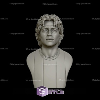 diego armando maradona busto 3d modelo 3d print model - Mito3D