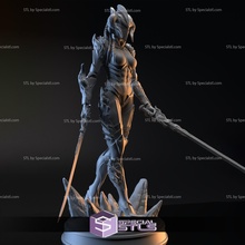 ekdal dragon sang assassin 3d print model - Mito3D