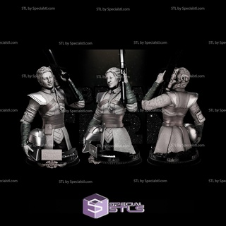 fennec shand buste étoile guerres 3d modèles 3d print model - Mito3D