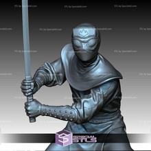 ayak ninja tmnt 3d print model - Mito3D