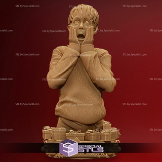 Accueil maison seul Kevin McCallister buste 3d impression figurine 3d print model - Mito3D