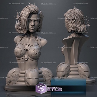 iron widow bust 3d printing figurine stl files 3d print model - Mito3D