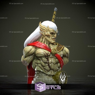 kain Seigneur vampires buste stl dossiers 3d print model - Mito3D