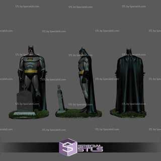 kevin Conroy batman 3d print model - Mito3D