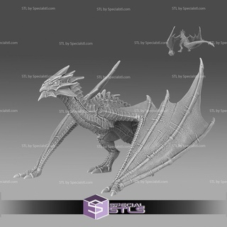 mayo 2023 conjunto 76 dragones reinado épico miniaturas 3d print model - Mito3D