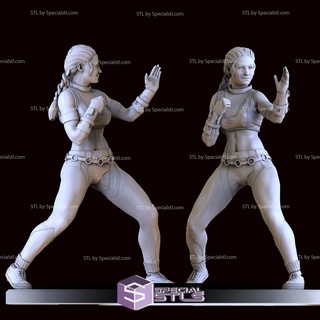 sonya Klinge v2 3d print model - Mito3D