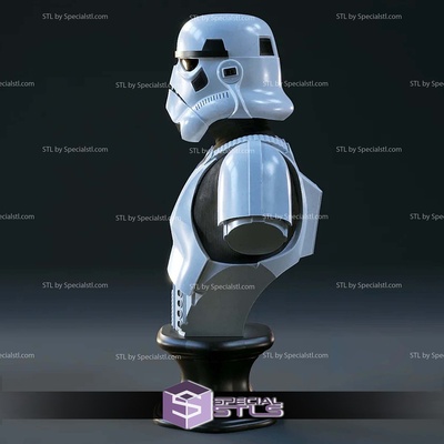 stormtrooper bust digital sculpture specialstl 3d print model - Mito3D