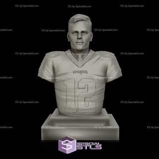 Tom Brady büst 3d model 3d print model - Mito3D