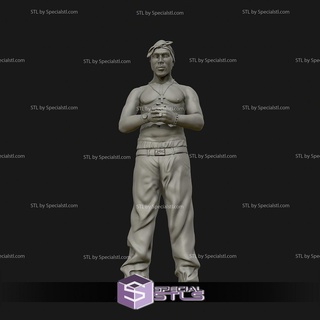 tupac shakur standing ready 3d print 3d print model - Mito3D