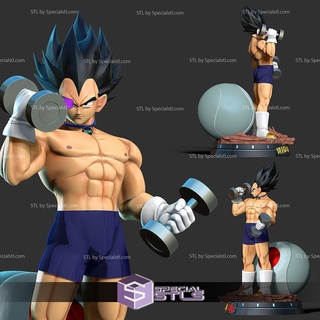 Végéta Gym 3d impression Dragon Ball 3d print model - Mito3D