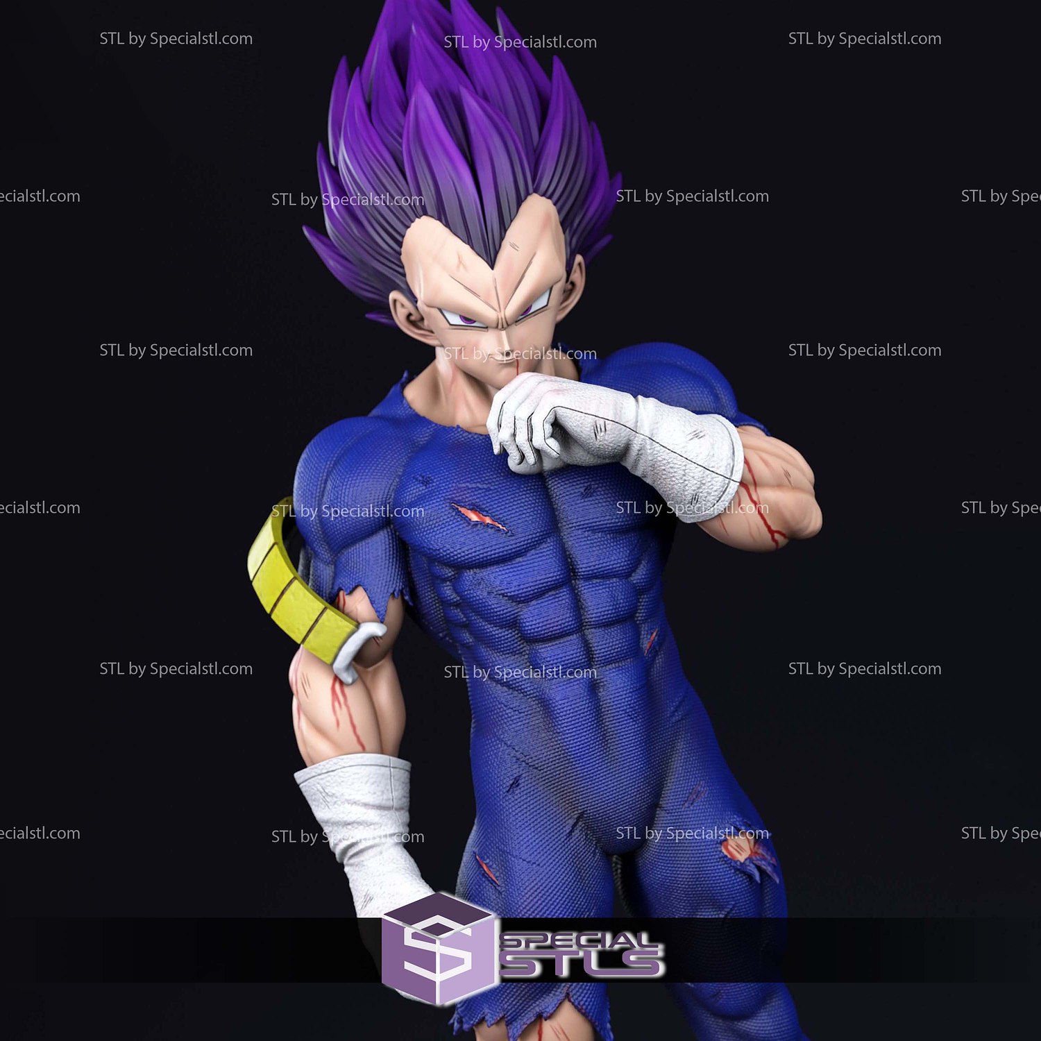 vegeta ultra benlik yaralanma 3d baskı modeller özel 3D print model - Mito3D