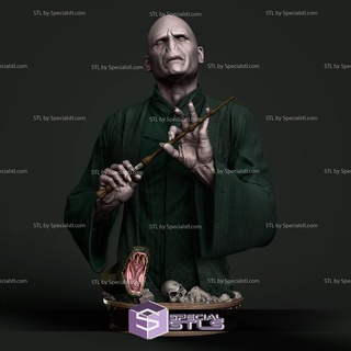 Voldemort fracasso 3d impressão modelo atormentar oleiro stl arquivos 3d print model - Mito3D